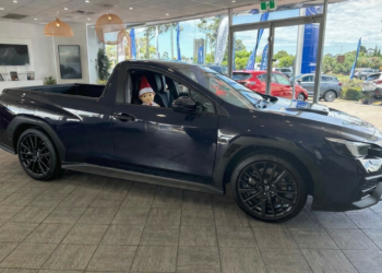 Image credit: Subaru Narellan